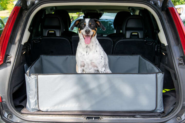 dobar Kofferraumschondecke XXL